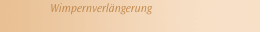 Wimpernverlängerung